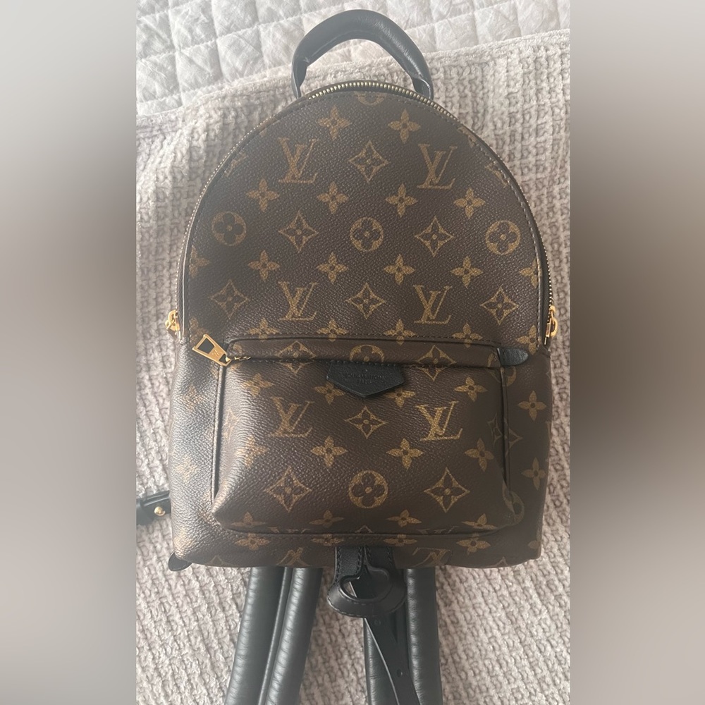 Louis Vuitton Palm Springs PM Monogram Backpack